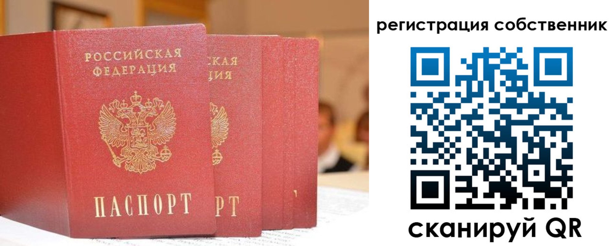 пропишу в квартире в Калининграде
